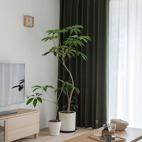 Cortinas de dormitorio