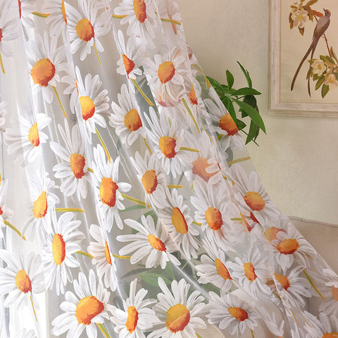 Floral transparente