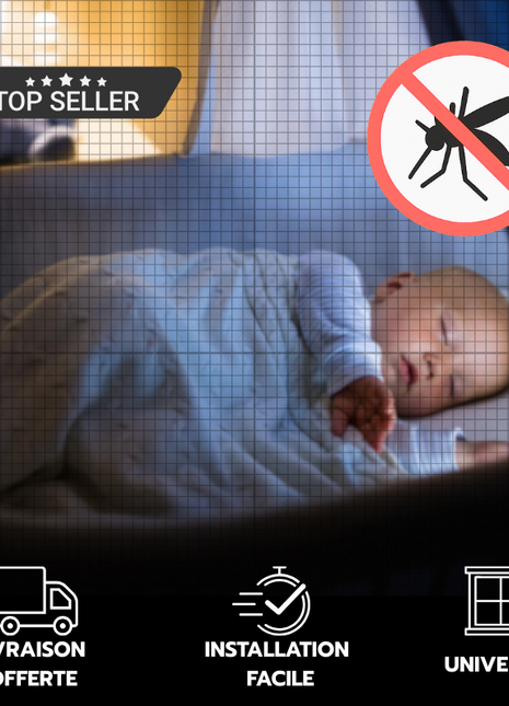 Moustiquaire Scratch Fenêtre