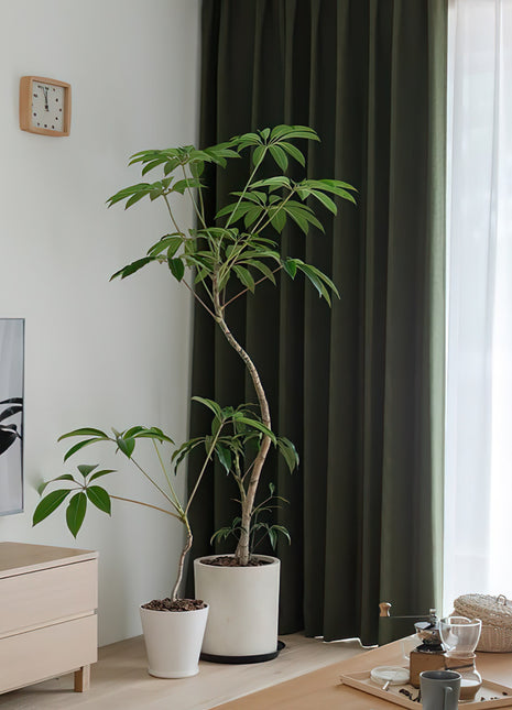 Rideaux Chambre à Coucher